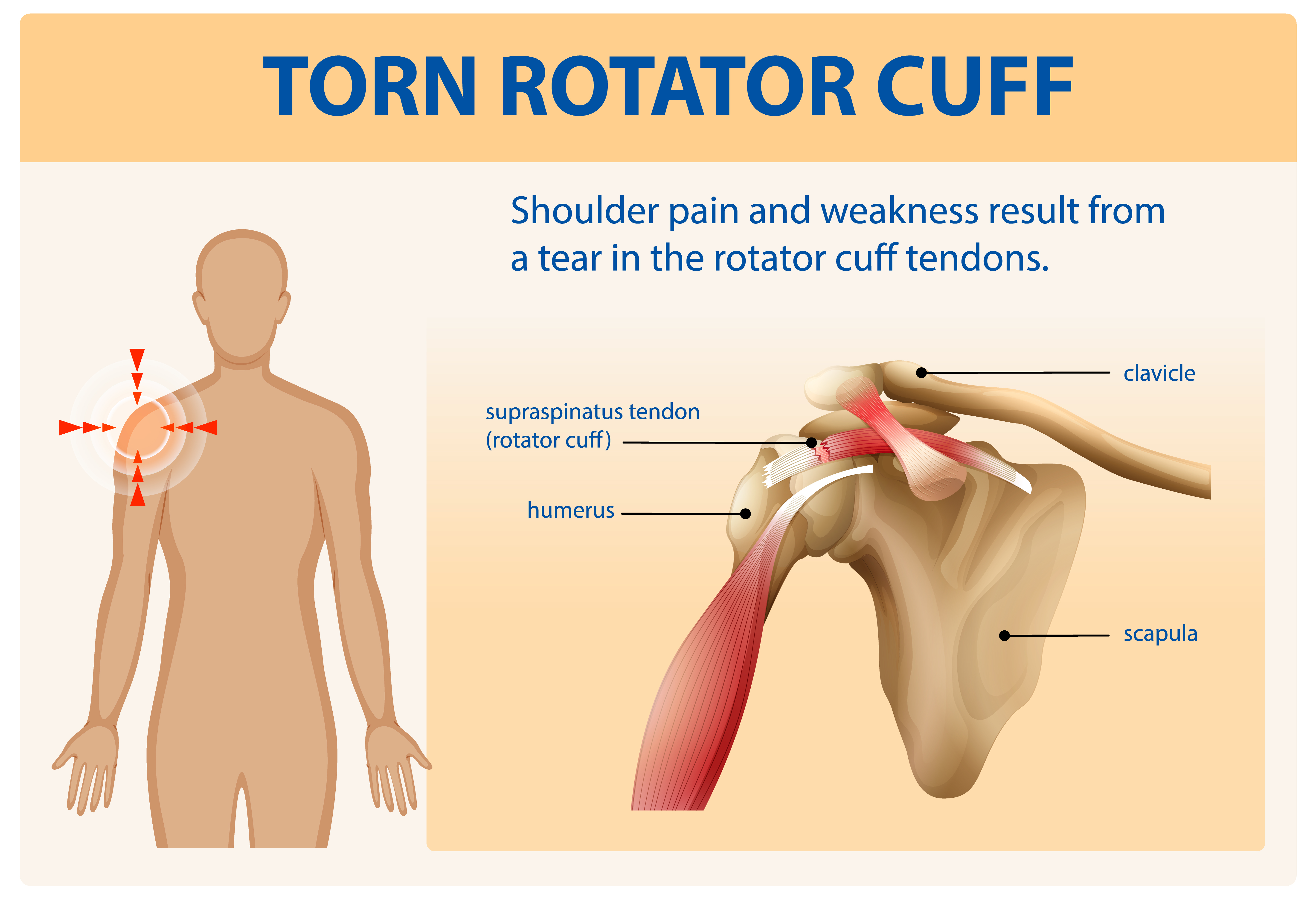 Free Website Template by Free-Template.co